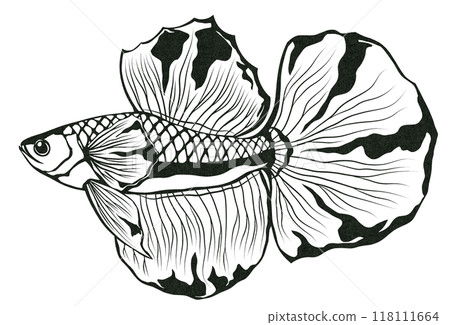 熱帶魚鬥魚的簡單黑白剪紙插圖 118111664