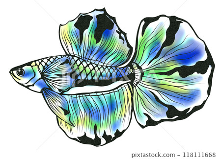 熱帶魚 Betta 優雅遊動的剪紙插圖 熱帶魚 Betta 優雅遊動的剪紙插圖 118111668