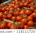 Fresh, vibrantly colored tomatoes found at an organic market 118111720