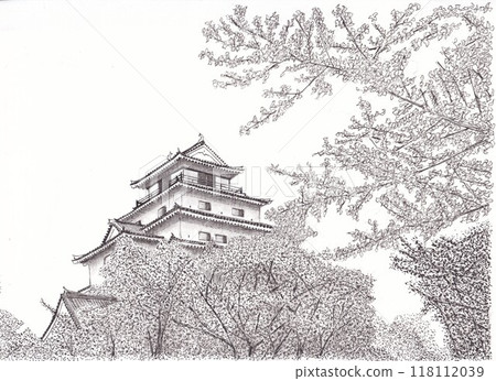 Aizu Wakamatsu Castle 118112039