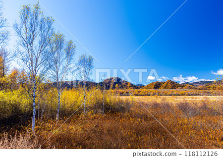 栃木縣奧日光市戰場原的紅葉風景 118112126