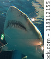 Aquarium 118112155