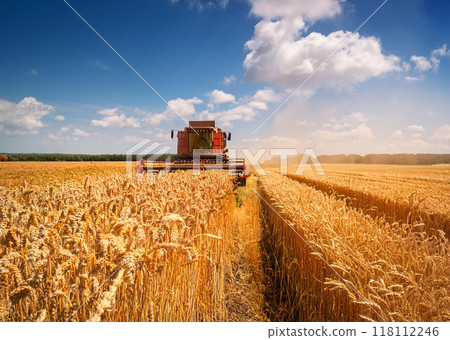 When barley is ripe 118112246