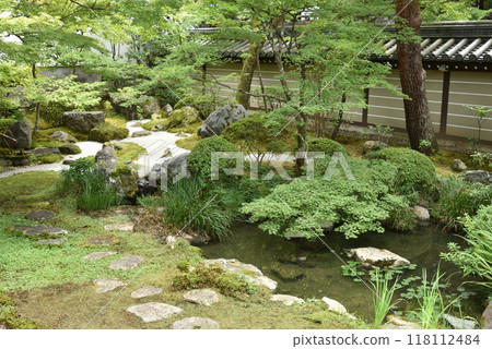 永觀堂禪林寺釋迦堂南庭，夏季有藍色楓葉 118112484