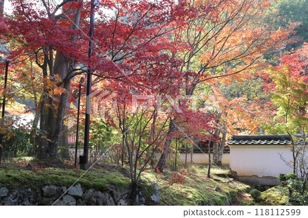 紅葉/金剛林寺[滋賀縣愛知縣愛莊町] 118112599