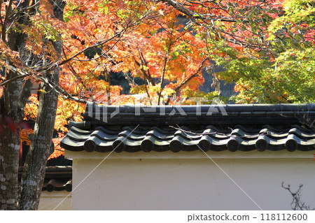 Autumn leaves at Kongorinji Temple [Aisacho, Aichi District, Shiga Prefecture] 118112600
