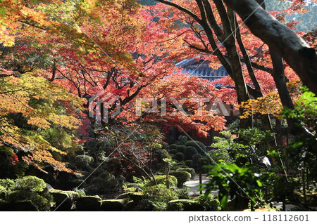 紅葉/金剛林寺[滋賀縣愛知縣愛莊町] 118112601