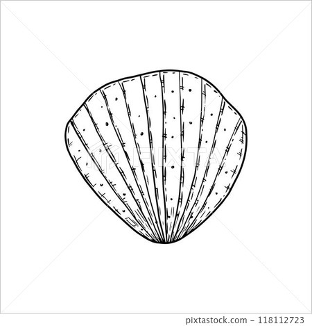 Hand drawn seashell. Vector illustration 118112723