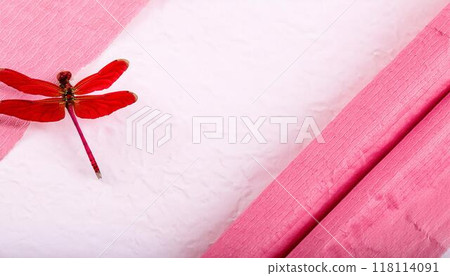 紅蜻蜓複製空間 118114091