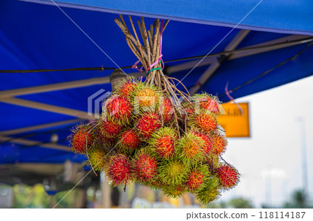 view of a bunch of red, yellow and green rambutan fruits with the spiky skin. 118114187