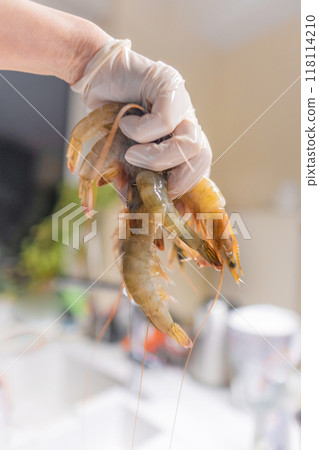 Cropped hand holding shrimps in kitchen 118114210
