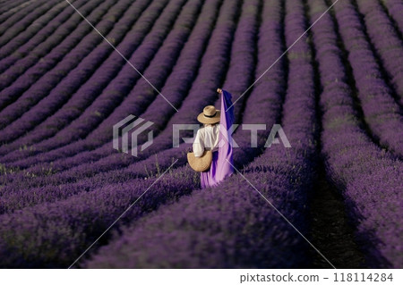 A woman is walking through a field of lavender 118114284