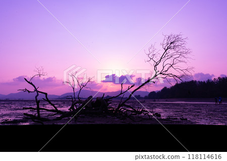 Sunset sky, Nature beautiful Light Sunset or sunrise over sea, Colorful dramatic majestic scenery sky,Amazing clouds and waves in sunset sky nature light cloud background 118114616