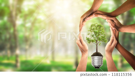 Bulbs with tree on soil. Earth day and earth day as group of diverse people joining to form hands connected together protecting the environment and promoting conservation and climate change issues. Bulbs with tree on soil. Earth day and earth day as group of diverse people joining to form hands connected together protecting the environment and promoting conservation and climate change issues. 118115356