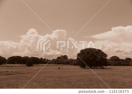 夏天的天空和雲彩大綠色廣場的棕褐色景觀 4 118116373
