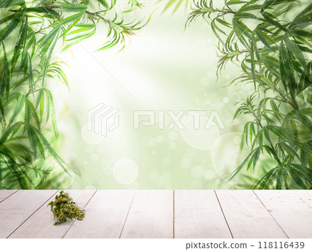 Green marijuana flower on white wooden board with bokeh light background Green marijuana flower on white wooden board with bokeh light background 118116439