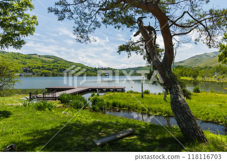 Lake Shirakaba and the lakeside scenery surrounded by fresh greenery in Tateshina Town, Kitasaku District, Nagano Prefecture, Japan Lake Shirakaba and the lakeside scenery surrounded by fresh greenery in Tateshina Town, Kitasaku District, Nagano Prefecture, Japan 118116703