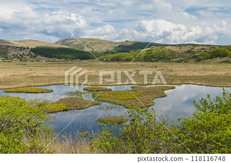 日本長野縣諏訪郡八岳中神高原國定公園中部霧峰的屋島原濕地與屋島池 118116748