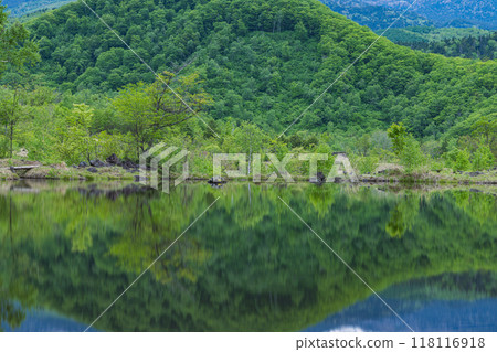 Japan, Matsumoto City, Nagano Prefecture, Azumi Norikura Plateau, Maimenoike Pond with fresh green trees on the mirror surface Japan, Matsumoto City, Nagano Prefecture, Azumi Norikura Plateau, Maimenoike Pond with fresh green trees on the mirror surface 118116918