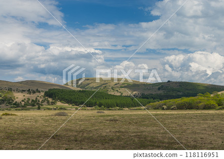 日本長野縣諏訪郡八岳中神高原國定公園中部霧峰的屋島原濕地 118116951