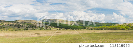 Yashimagahara Marshland in Kirigamine, central part of Yatsugatake Chushin Kogen Quasi-National Park, Suwa-gun, Nagano Prefecture, Japan 118116953
