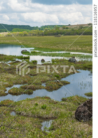 日本長野縣諏訪郡八岳中神高原國定公園中部霧峰的屋島原濕地 日本長野縣諏訪郡八岳中神高原國定公園中部霧峰的屋島原濕地 118116957