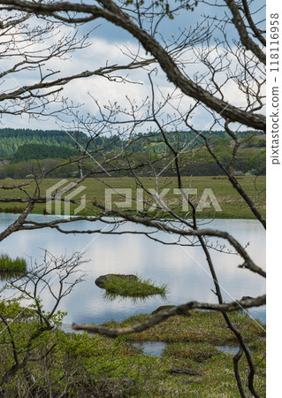 日本長野縣諏訪郡八岳中神高原國定公園中部霧峰的屋島原濕地 日本長野縣諏訪郡八岳中神高原國定公園中部霧峰的屋島原濕地 118116958