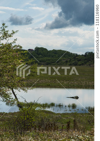 日本長野縣諏訪郡八岳中神高原國定公園中部霧峰的屋島原濕地 118116960