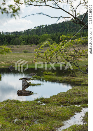日本長野縣諏訪郡八岳中神高原國定公園中部霧峰的屋島原濕地 118116962