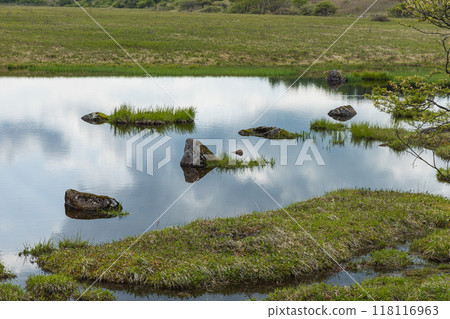 日本長野縣諏訪郡八岳中神高原國定公園中部霧峰的屋島原濕地 118116963