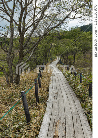 日本長野縣諏訪郡八岳中神高原國定公園中部霧峰的屋島原濕地 日本長野縣諏訪郡八岳中神高原國定公園中部霧峰的屋島原濕地 118116970