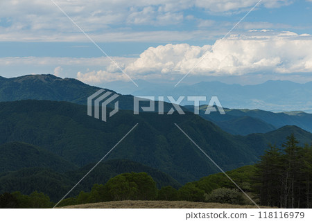 The view from Mitake-chaya in Ogata County, Nagano Prefecture, Japan 118116979