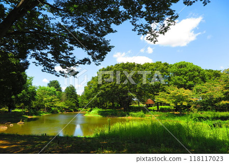 綠樹環繞的池塘風景1 綠樹環繞的池塘風景1 118117023