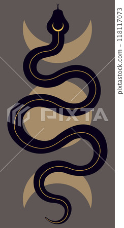 Snake and moon phases. Esoterics. Black silhouette of a snake. Vector illustration Snake and moon phases. Esoterics. Black silhouette of a snake. Vector illustration 118117073