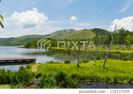 日本長野縣北佐久郡蓼科町的白樺湖和綠樹環繞的湖畔風景 日本長野縣北佐久郡蓼科町的白樺湖和綠樹環繞的湖畔風景 118117295
