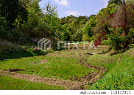 Scenery of rice terraces 118117393