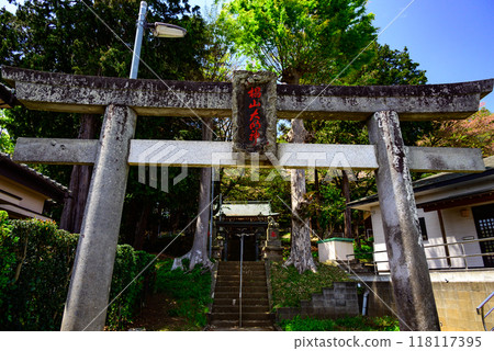 Panoramic view of Tsurukawa Sugiyama Shrine surrounded by forest Panoramic view of Tsurukawa Sugiyama Shrine surrounded by forest 118117395