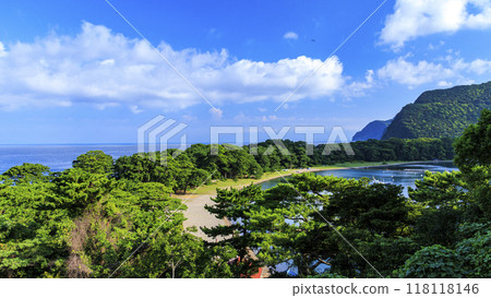 從土肥看到的美浜岬和富士山 從土肥看到的美浜岬和富士山 118118146