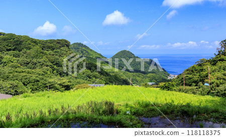 Scenery with rice terraces 118118375