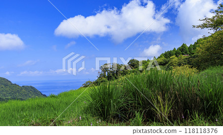 Scenery with rice terraces 118118376