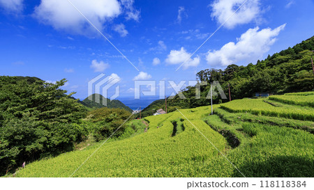 與梯田的風景 118118384