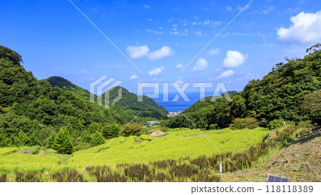 與梯田的風景 與梯田的風景 118118389