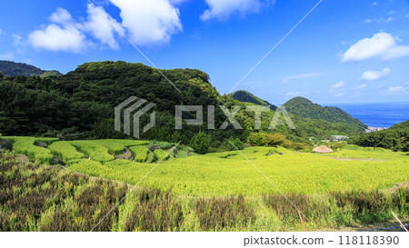 與梯田的風景 118118390