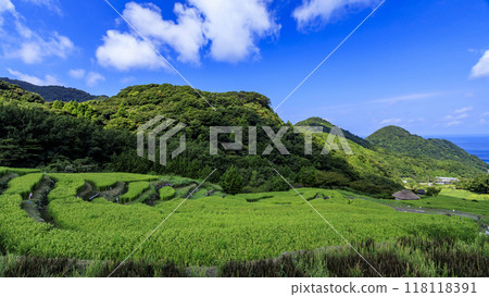 與梯田的風景 118118391