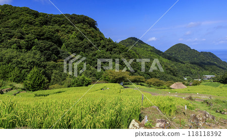 與梯田的風景 118118392