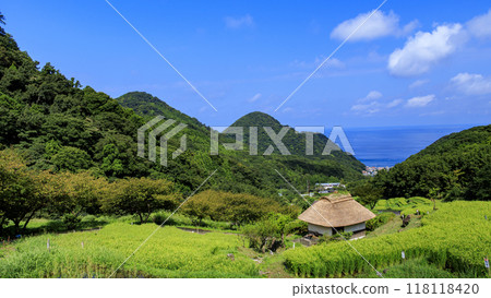 與梯田的風景 118118420