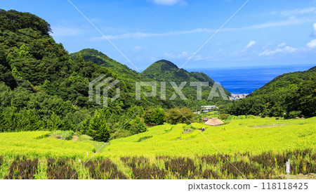 Scenery with rice terraces 118118425