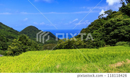 與梯田的風景 118118426