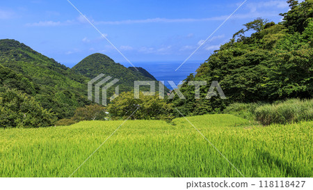 與梯田的風景 118118427