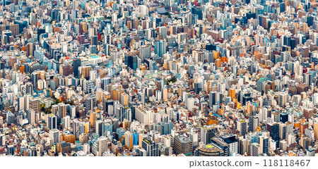 Aerial view of Taito, Tokyo, Japan 118118467